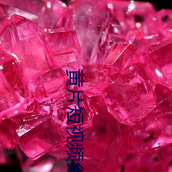 黃片短視頻免費下載