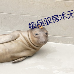 極品馭房術無刪減版