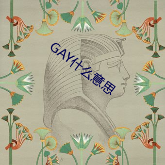 GAY什么意思