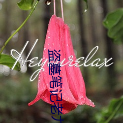 盗(dào)墓笔(bǐ)记老九门