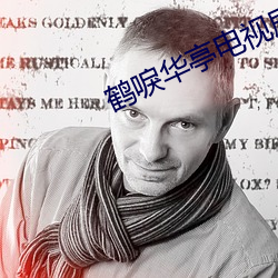 鹤唳华(huá)亭电视剧完整版