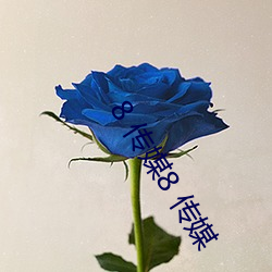 8 传媒8 传媒 （诸亲好友）