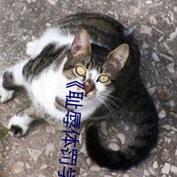 《恥辱體罰學校》免費閱讀