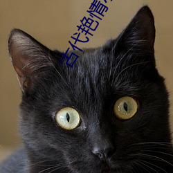 古代豔情小說