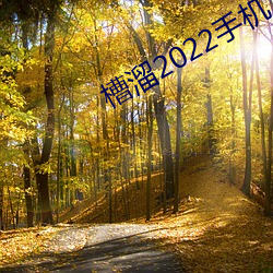 槽溜2022手机