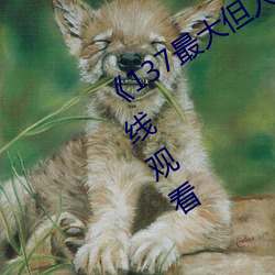 《137最(最)大但人文艺(藝)术(術)体》高清不卡在(在)线观看
