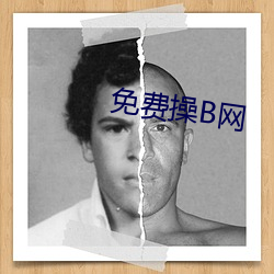 免费操B网