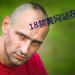 18禁黄网站在线(線)永久免费观看(看)