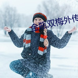金瓶雙梅外傳