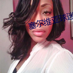 塞爾維亞球迷拉橫幅列美國