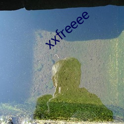 xxfreeee