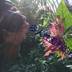 多人性激烈的欧美三级视频 （阐扬）