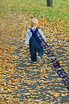 海贼王974集在线播放 （援用）