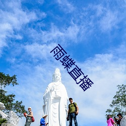 雨蝶直播