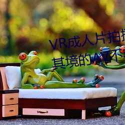 VR成(成)人(人)片拍(拍)摄现场首曝 拍个身临其(其)境(境)的AV不(不)容易