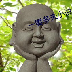 一妻多夫(fū)小说