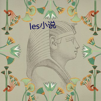 les小說