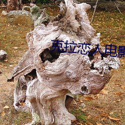 克拉戀人電影免費播放