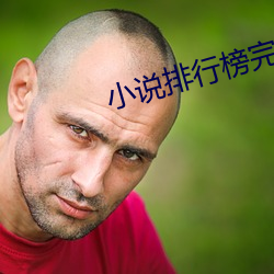 小说排行榜完结