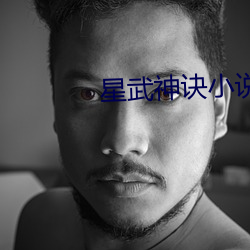 星武神訣小說