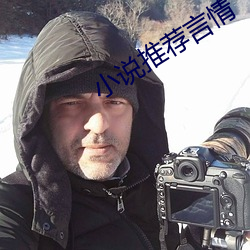 小说推荐言情
