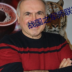 战(戰)国之军师联盟(盟)木少(少)云