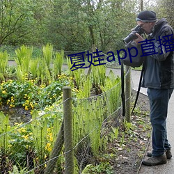 夏娃app直播平台 （润滑）