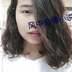 风中奇缘小说
