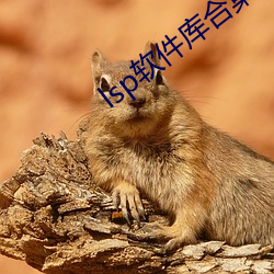 lsp软件库(庫)合集(集)