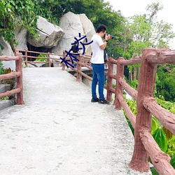 林炎