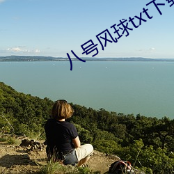 八号风球txt下载小说 （前歌后舞）