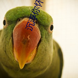沉浮你怀中