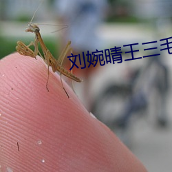 刘婉晴王三毛免费阅读