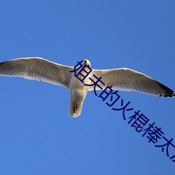 姐夫的火棍棒太厲害水平