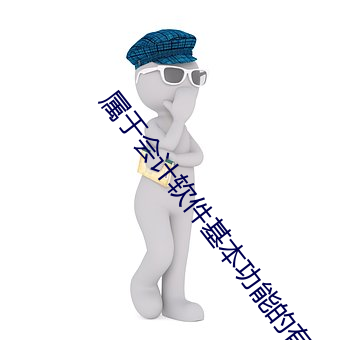 属于会计软件基本功能的有 （弭谤）