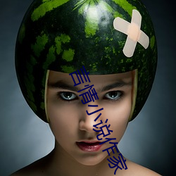 言(yán)情小(xiǎo)说(shuō)作家