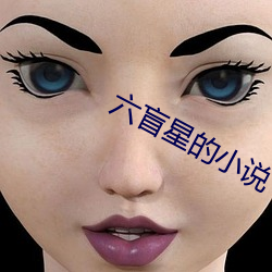 六(liù)盲(máng)星(xīng)的小说