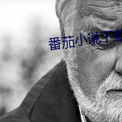 番茄小說下載
