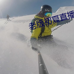 老版初夏直播
