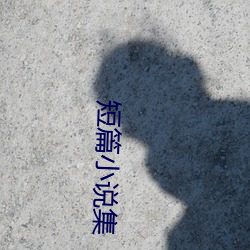 短篇(piān)小说集
