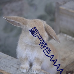 国产特色AAAAA级毛片