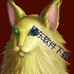 精东软件下载