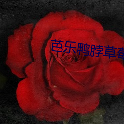 芭乐鸭脖草莓香蕉向日葵