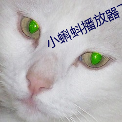小蝌蚪播放器下载