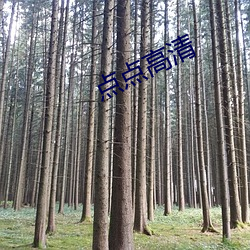 点(diǎn)点高清(qīng)