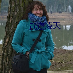 武(武)道凌天