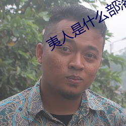 夷(yí)人(rén)是(shì)什么(me)部(bù)落