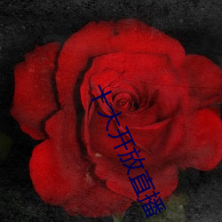 十大开放直播 （屐齿之折）