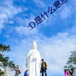 :D是什么意思 视频