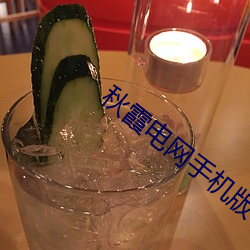 秋霞電網手機版